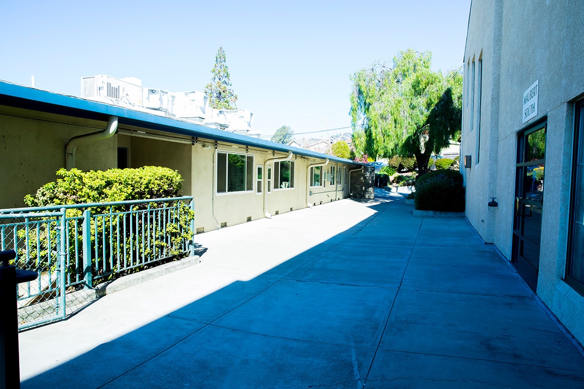 A shady outdoor area at All Saints