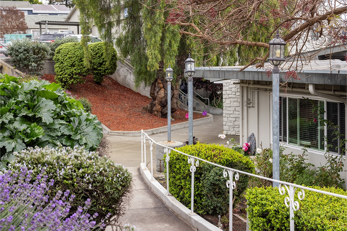Exterior of All Saints Post Healthcare exterior walkway with trees, flowers and shrubs